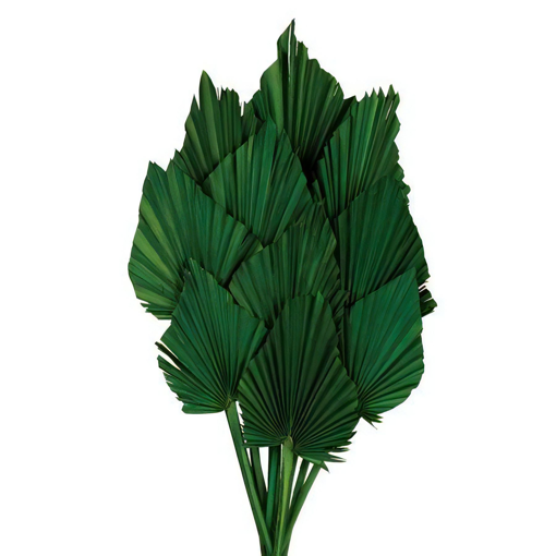 Picture of Palm Spear | 10pcs | Bottle Green