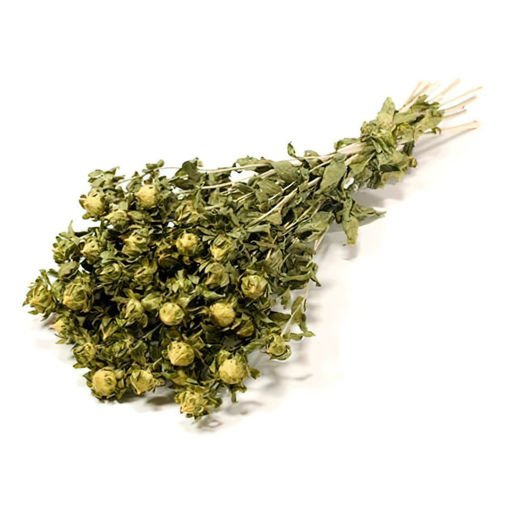 Picture of Dried Carthamus Natural
