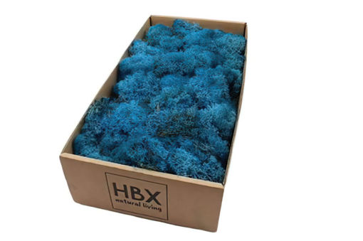 Picture of Reindeer Moss 500gm  - Blue