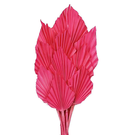 Picture of Palm Spear | 10pcs  | Hot Pink