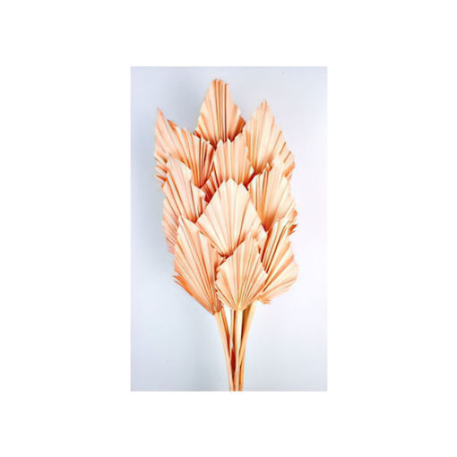Picture of Palm Spear | 10pcs | Peach
