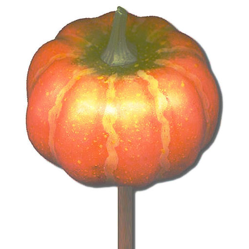 Picture of Pumpkin on Sticks