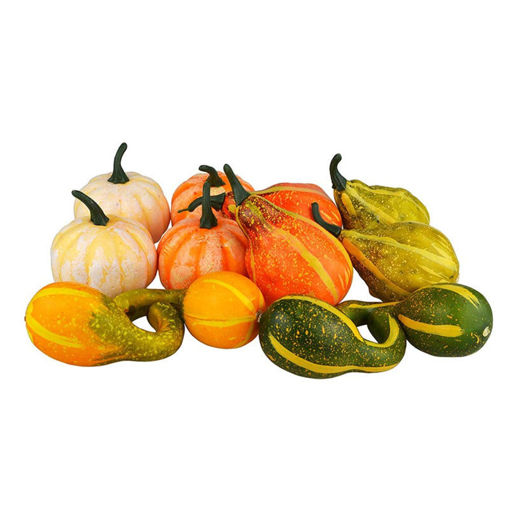 Picture of Pumpkin  Indian Mix