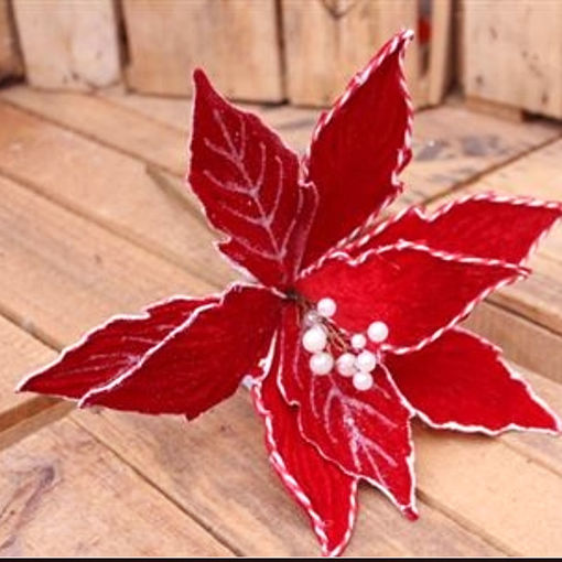 Picture of Poinsettia Pick - Red and White 37cm