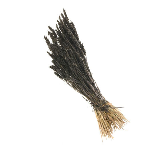 Picture of Dried Wheat Black