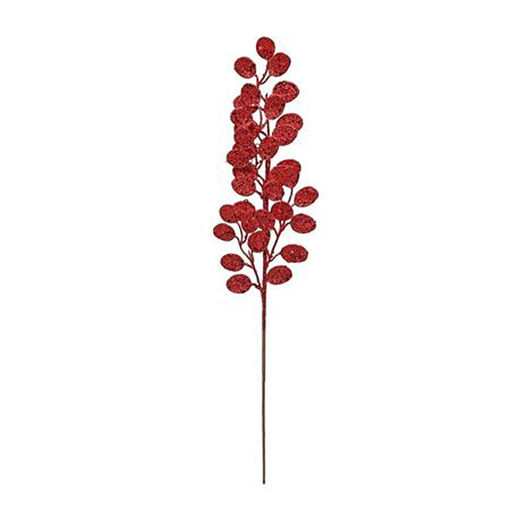 Picture of Eucalyptus stem | Red