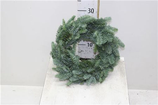 Picture of Noble Fir half Wreath 30cm