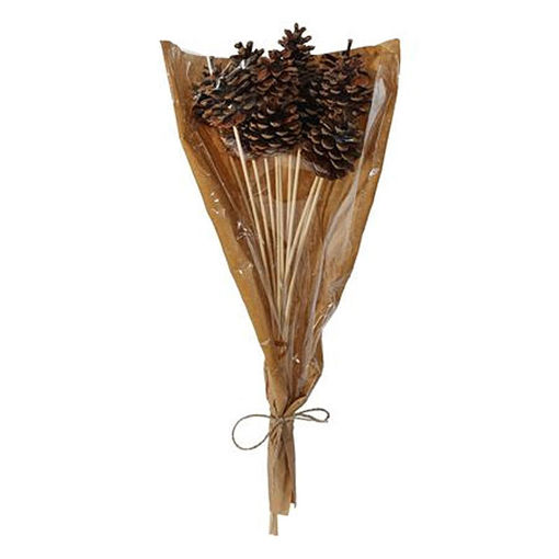 Picture of Pick Natural Pinecone 12pcs 50cm