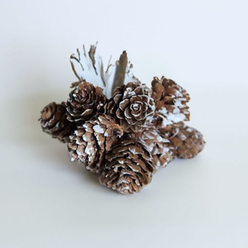 Picture of Pine Cone Bunch | 15mm | Bunch of 12