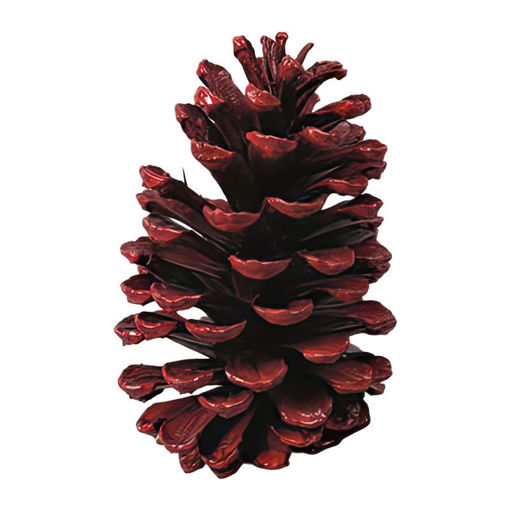 Picture of Pinecone | Red | 17cm