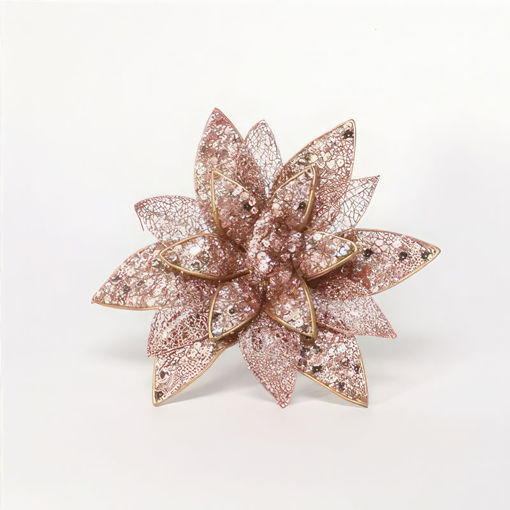 Picture of Poinsettia Rose Gold