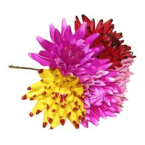 Picture of Pick Dahlia Artificial Mixed Colours x100