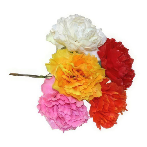 Picture of Pick Carnation Artificial Mixed Colours x 100
