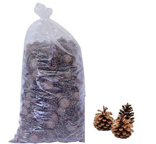 Picture of Austriaca Pine cones 10kg