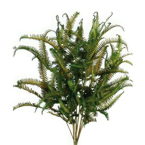 Picture of Preserved Single Fern Green | 45cm | 50g