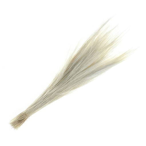 Picture of Preserved Barba White | 100g