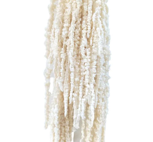 Picture of Preserved Amaranthus White