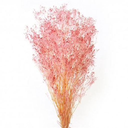 Picture of Preserved Gypsophila Light Pink