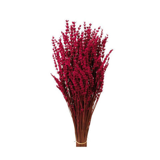 Picture of Preserved Lavender Cerise | 150g