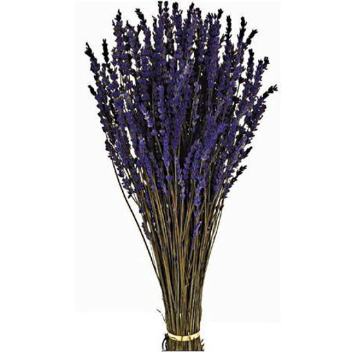 Picture of Preserved Lavender Purple | 150g