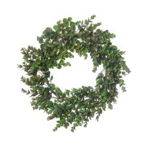 Picture of Eucalyptus Wreath | 38cm