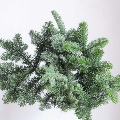 Picture of Blue Spruce Pine Bundle